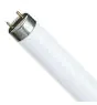 Philips MASTER TL-D Super 80 58W - 840 Blanc Froid | 150cm - UNP 